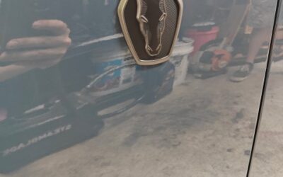 Mustang Dark Horse